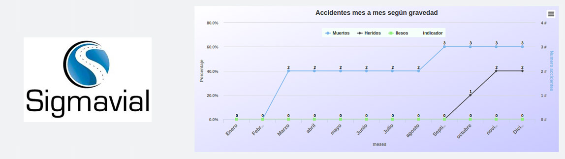Software de Gestión Seguridad Vial